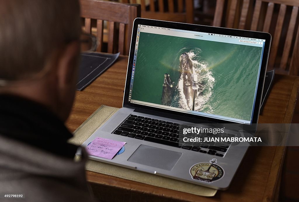 ARGENTINA-WILDLIFE-WHALE-SCIENCE-DRONE