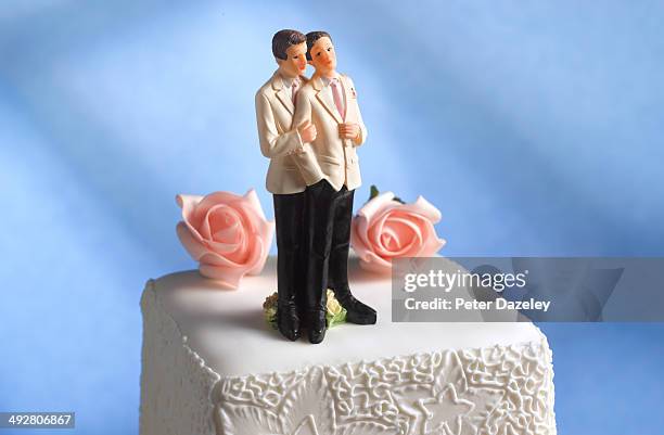 gay male wedding figurines - persona gay fotografías e imágenes de stock