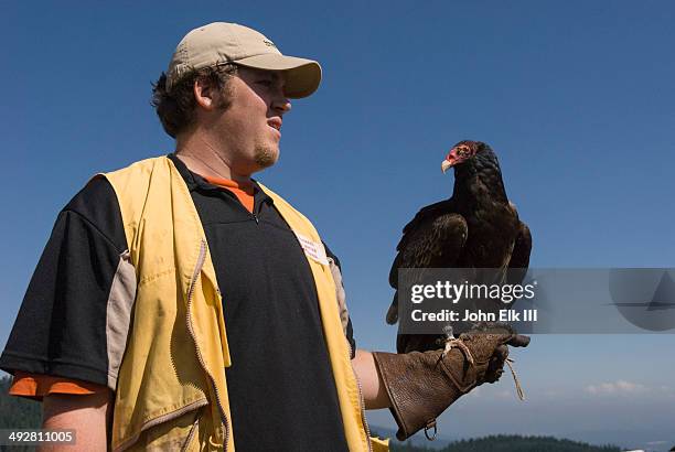 Handling Raptors Raptor (Bird) Photos and Premium High Res Pictures - Getty Images