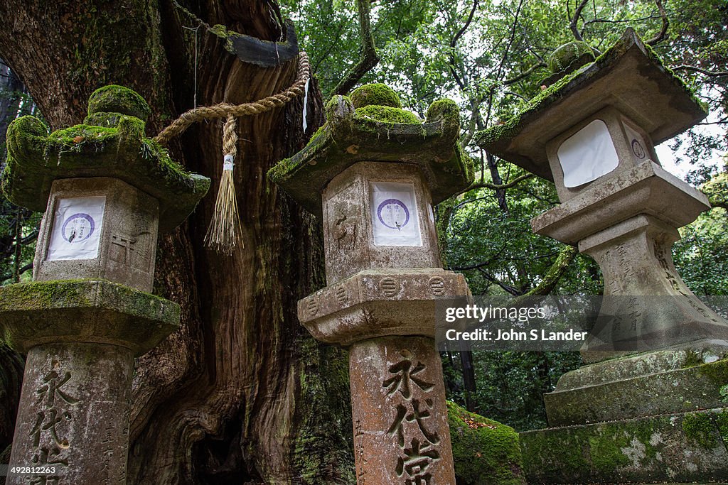 Kasuga-taisha is a Shinto shrine in Nara often called Kasuga...