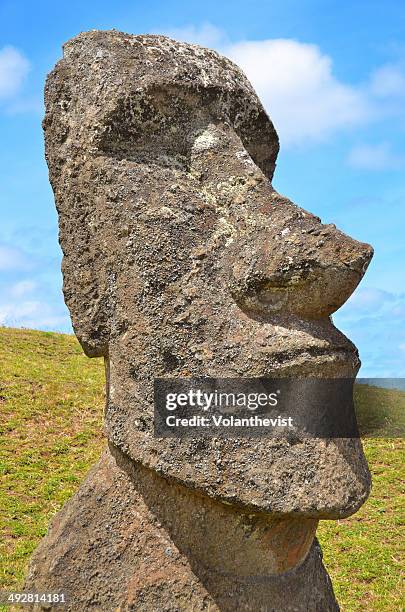 easter island big moai (statue) face in sunny day - easter_island stock pictures, royalty-free photos & images