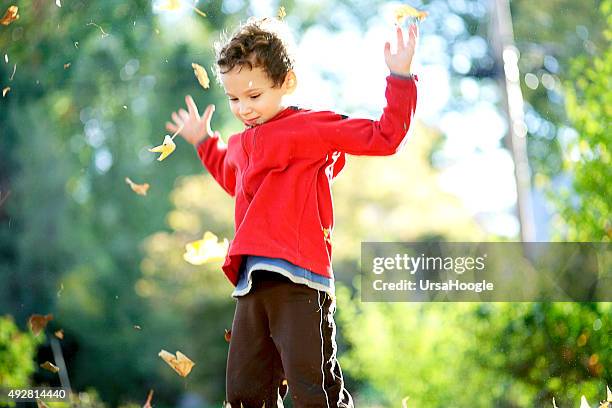 child tossing autumn leaves into the air - asperger syndrome stock pictures, royalty-free photos & images