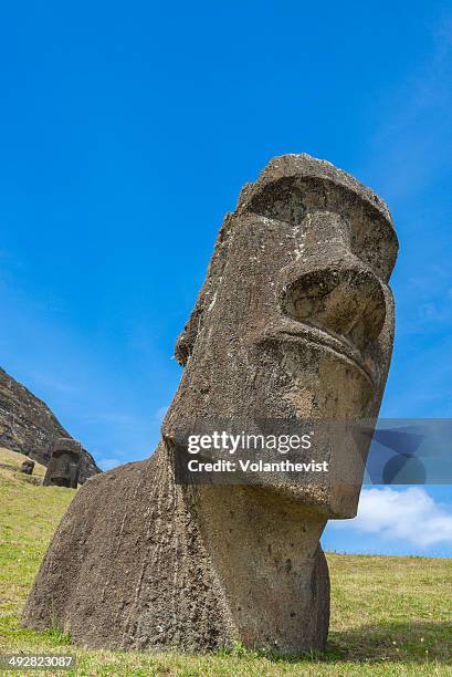 big moai statue half buried in easter island - easter_island stock pictures, royalty-free photos & images