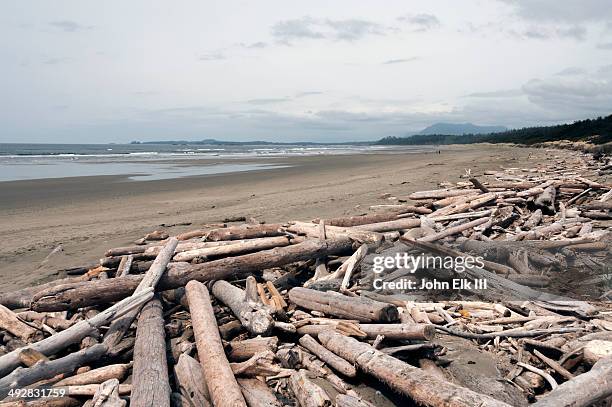 pacific rim national park, long beach - pacific rim national park reserve stock pictures, royalty-free photos & images