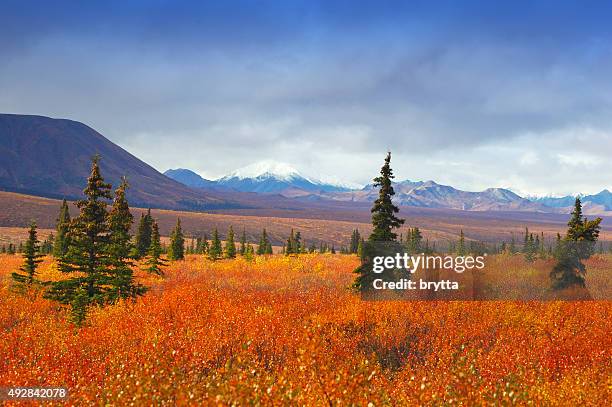 Red Rocks Alaska 3,137 Red Alaska Stock Photos, High-Res Pictures, and Images - Getty Images