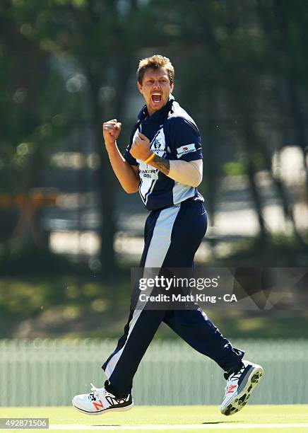 James Pattinson of the Bushrangers celebrates taking the early wicket of Travis Head of the Redbacks during the Matador BBQs One Day Cup match...