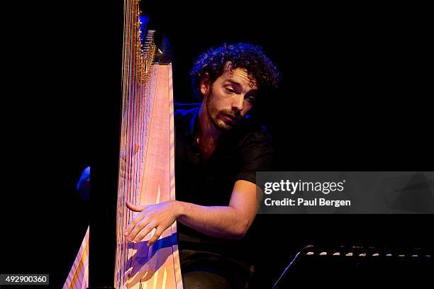 Harpist Remy van Kesteren performs on stage at the City of Wesopa theatre, Weesp, Netherlands, 13th October 2015. He is performing his new...