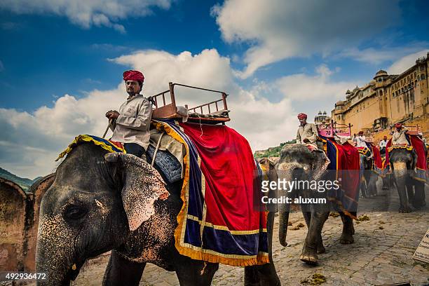 mahouts com elefantes em âmbar fort jaipur índia - amber fort - fotografias e filmes do acervo