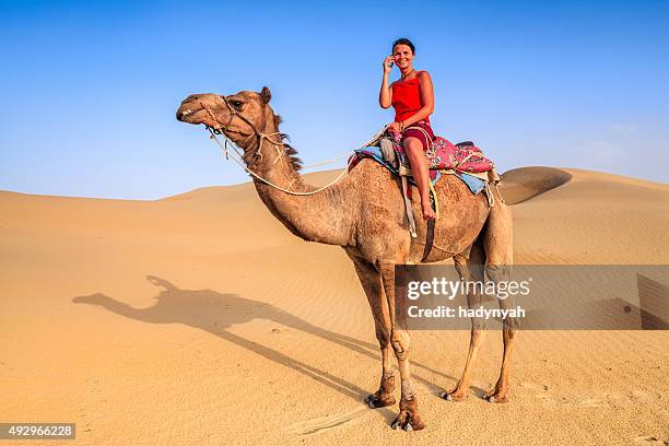 young female tourist using mobile on a camel, rajasthan, india - riding camel stock pictures, royalty-free photos & images