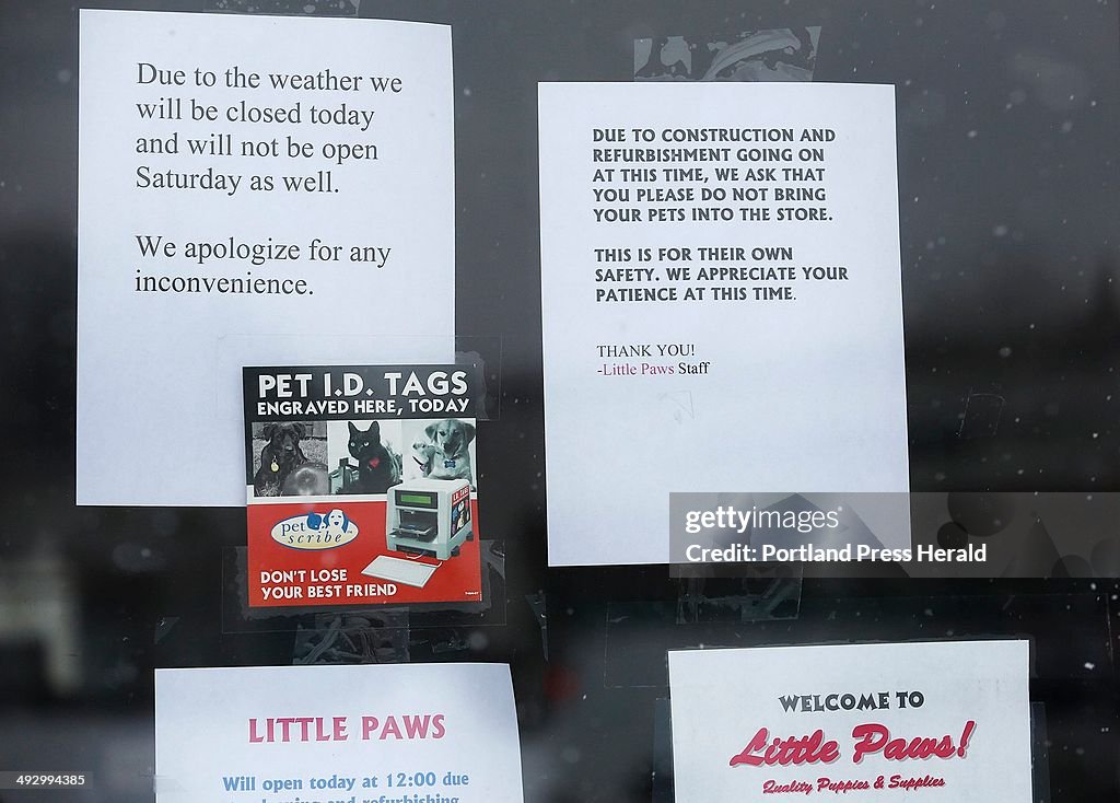 The state has put the Little Paws Pet Shop under quarantine because a puppy sold there died after te
