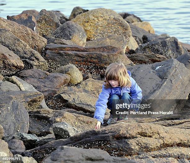 75 Ann Golding Stock Photos High Res Pictures And Images Getty Images 75-ann-golding-stock-photos-high-res-pictures-and-images-getty-images