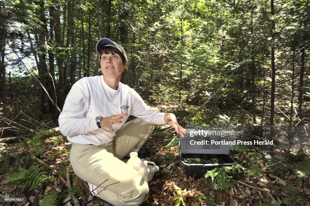 Sherri Juris, a biologist with Atlantic Pest Solutions, traps mosquitos for testing for the west nil