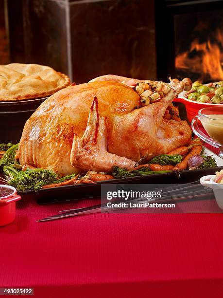 turkey dinner with stuffing and all the fixings - red salvia stock pictures, royalty-free photos & images