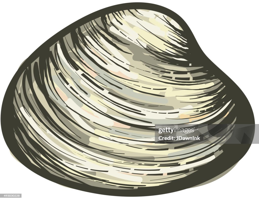 Color clam shell woodcut sketch