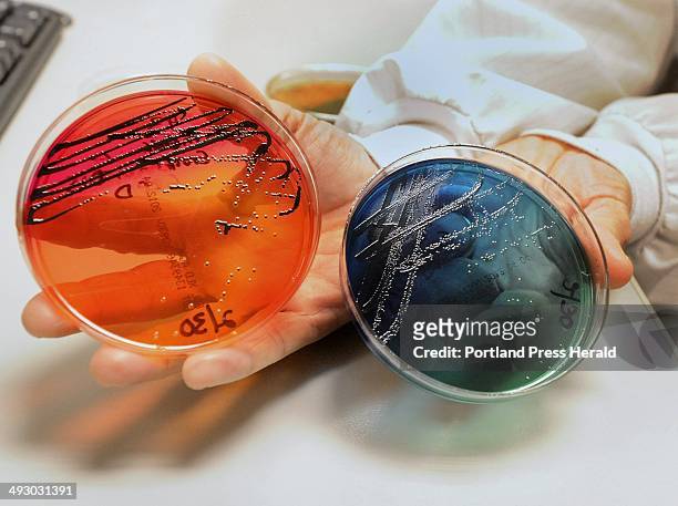 Tuesday, February 21, 2012 -- NorDx labs in Scarborough offers a wide variety of testing services including microbiological testing for salmonella....