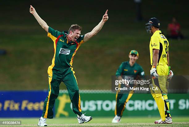 James Faulkner of the Tigers celebrates taking the wicket of Nathan Coulter-Nile of the Warriors during the Matador BBQs One Day Cup match between...