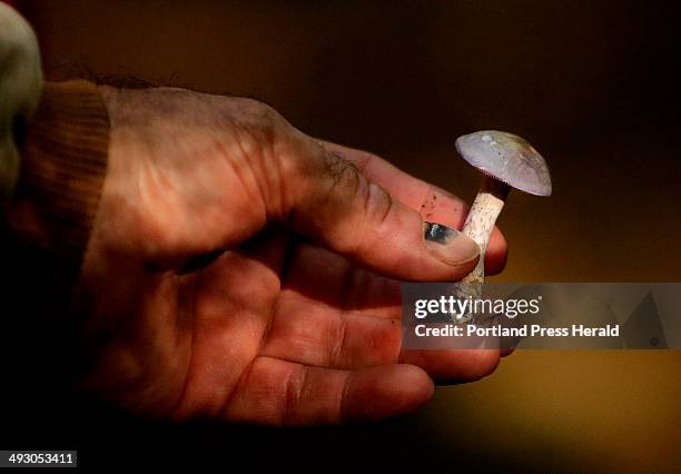 Rob Prybylo of Bangor holds a web cap mushroom, found while on a mushroom hike led by Fred Cichocki, a Maine Master Naturalist, through the Thorne...