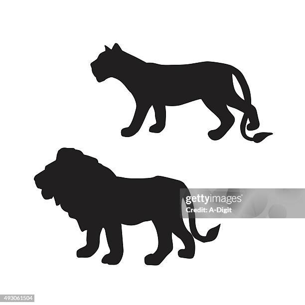 stockillustraties, clipart, cartoons en iconen met the big cats - leeuwin