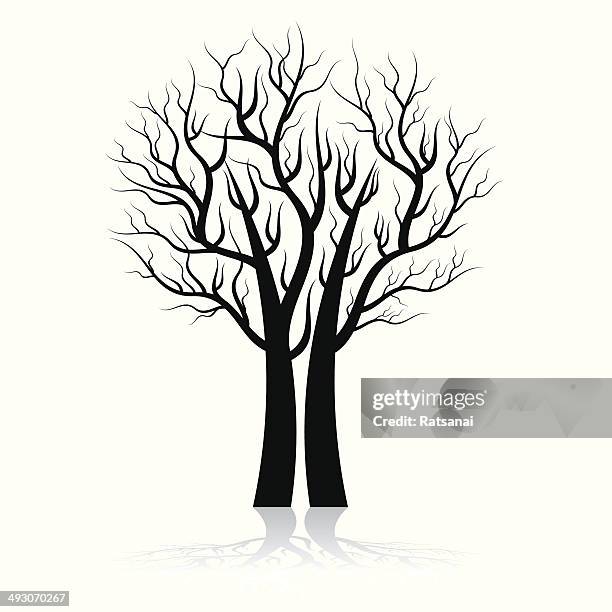 stockillustraties, clipart, cartoons en iconen met tree silhouette - kale boom