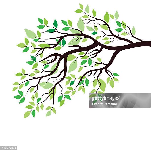tree ornament - branch plant part stock illustrations