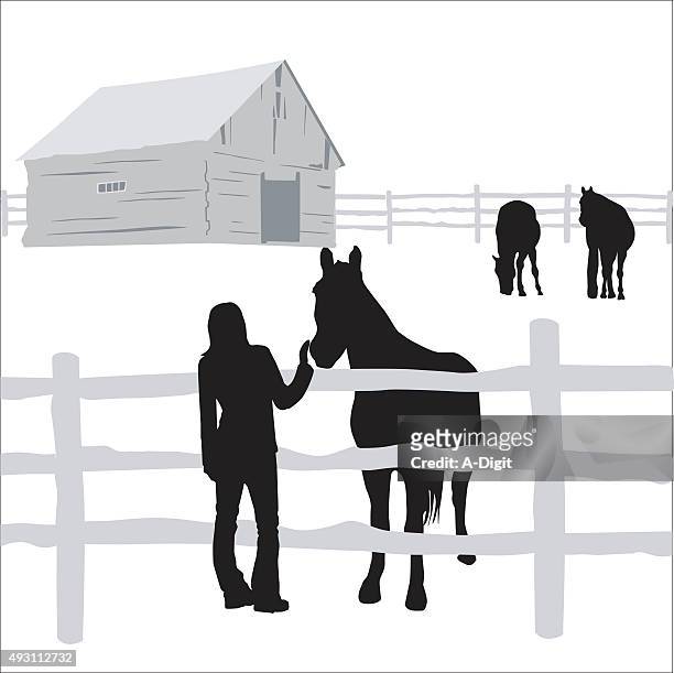 special friend - horse barn stock illustrations