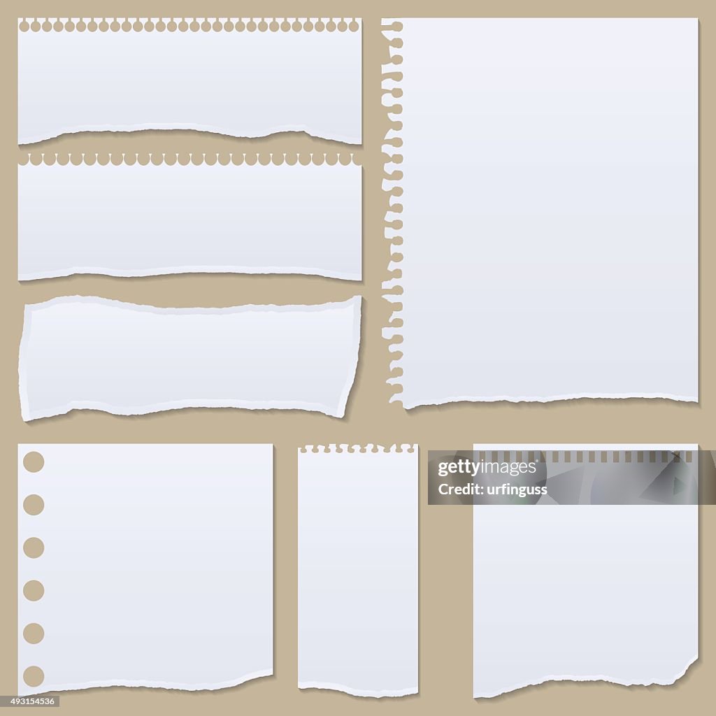 Set of different notebook paper, vector