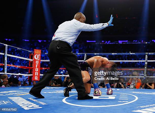 Gennady Golovkin knocks down David Lemieux during their WBA/WBC interim/IBF middleweight title unification bout at Madison Square Garden on October...