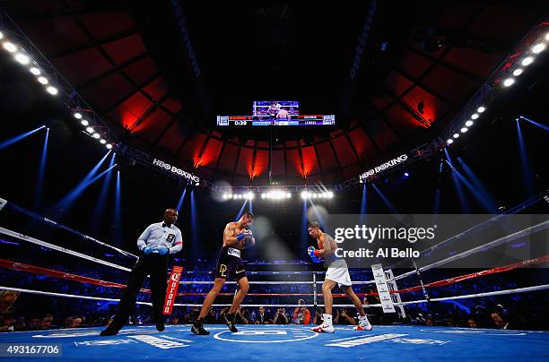 Gennady Golovkin fights David Lemieux during their WBA/WBC interim/IBF middleweight title unification bout at Madison Square Garden on October 17,...