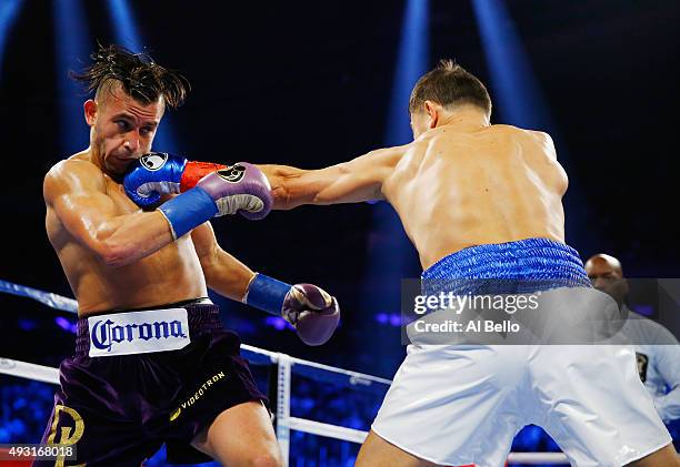 Gennady Golovkin punches David Lemieux during their WBA/WBC interim/IBF middleweight title unification bout at Madison Square Garden on October 17,...