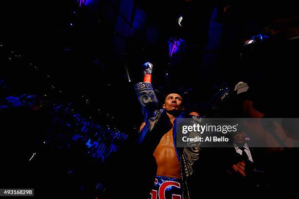 Gennady Golovkin enters the ring against David Lemieux during their WBA/WBC interim/IBF middleweight title unification bout at Madison Square Garden...