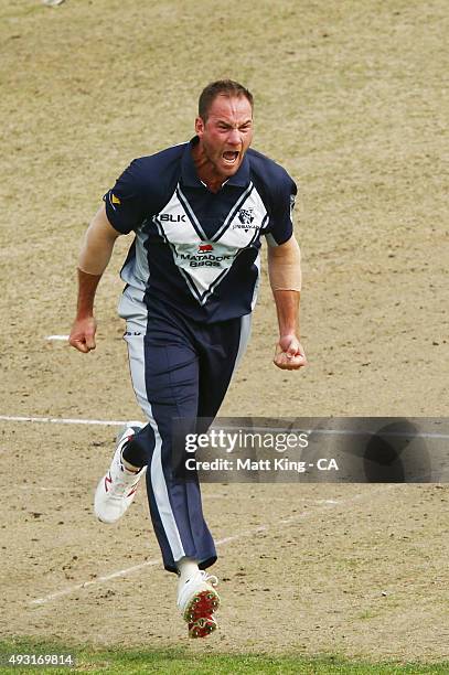 John Hastings of the Bushrangers celebrates taking the wicket of Sean Abbott of the Blues during the Matador BBQs One Day Cup match between New South...