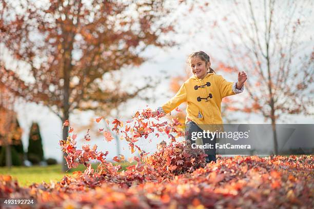 running through leaves on a fall day - young leafs stockfoto's en -beelden