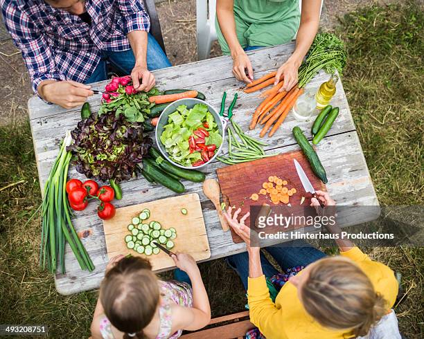 family preparing salad in garden - crucifers stock pictures, royalty-free photos & images