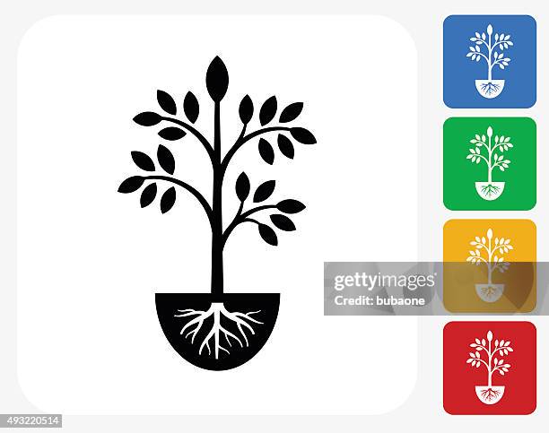 stockillustraties, clipart, cartoons en iconen met plants icon flat graphic design - jong boompje