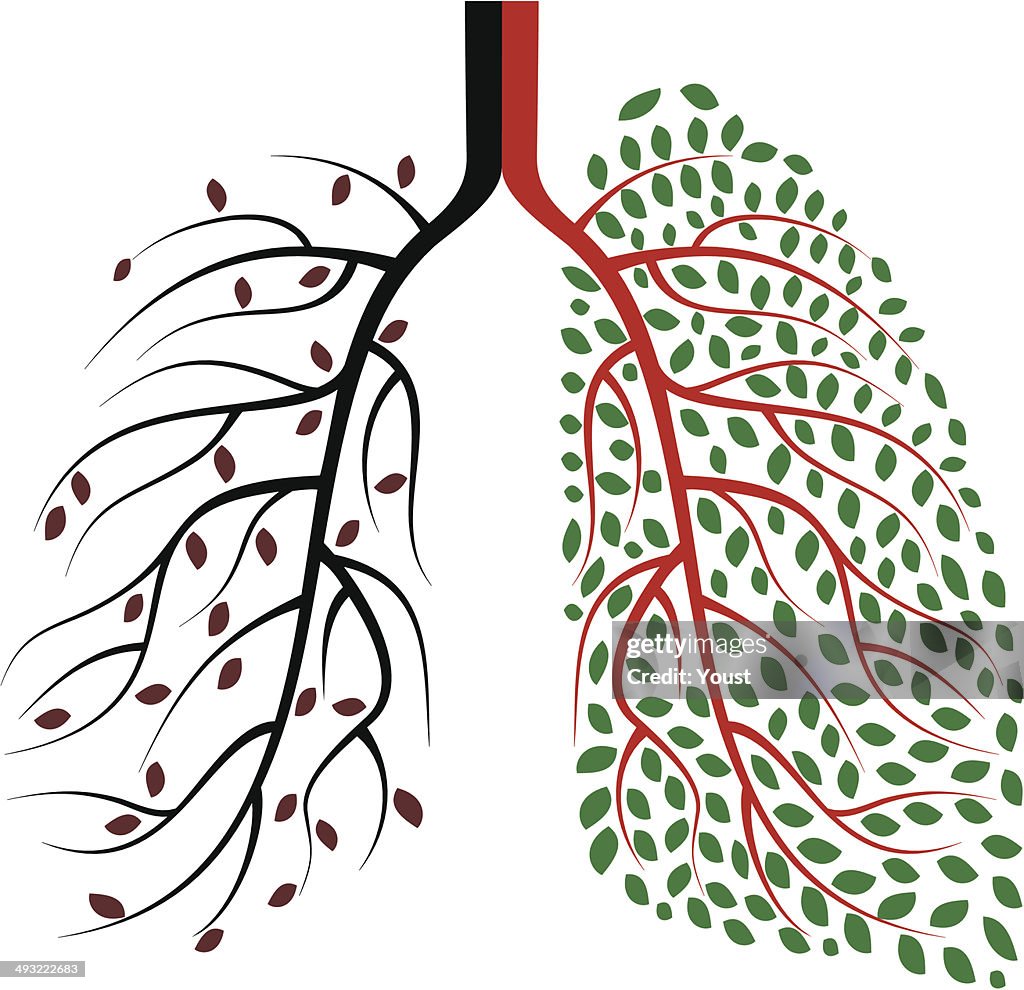 Gesunde und kranke Menschliche Lunge Konzept