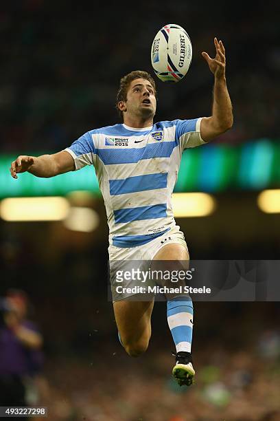 Santiago Cordero of Argentina leaps high to keep the ball in play during the 2015 Rugby World Cup Quarter Final match between Argentina and Ireland...