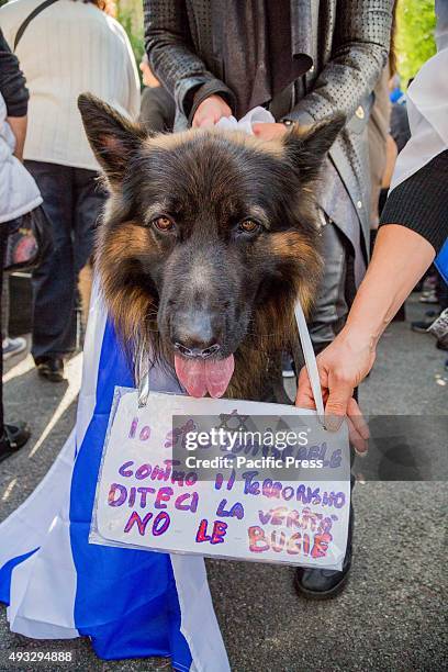 Dog with placard during a protest against the media and the attacks on Israelis.