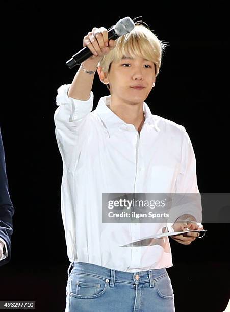 Baekhyun of Exo attends the One K concert at Seoul World Cup Stadium on October 9, 2015 in Seoul, South Korea.