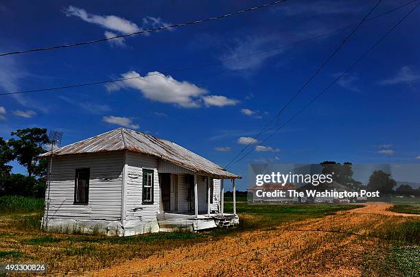 Sunflower County Mississippi Photos and Premium High Res Pictures