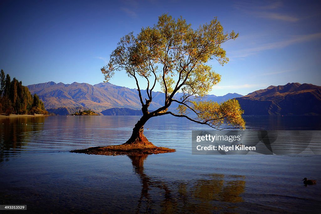 Lake Wanaka