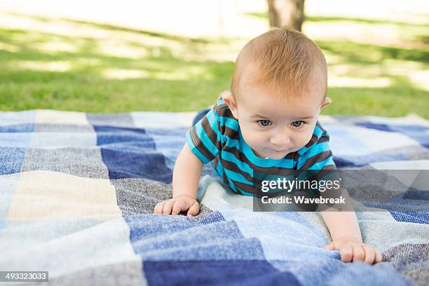 baby crawling on picnic basket at park - picnic basket stock pictures, royalty-free photos & images