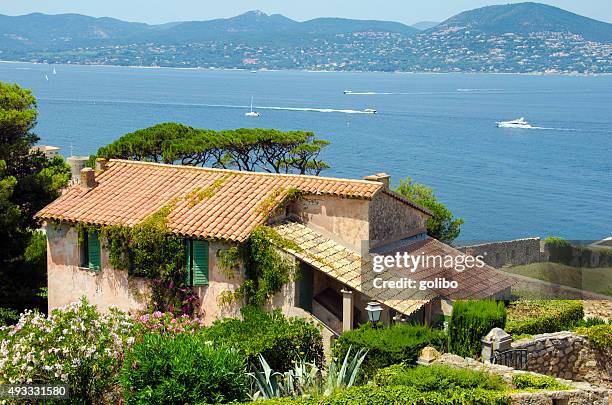 cannes in france - alpes maritimes stock pictures, royalty-free photos & images