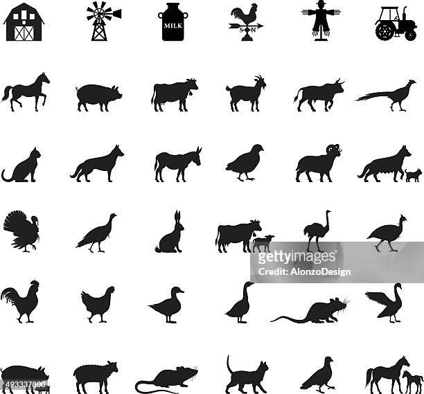 farm and domestic animals - in silhouette stock illustrations