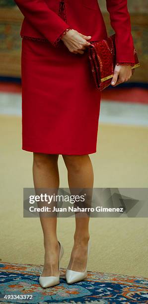 Queen Letizia of Spain attends the Cervantes Institute Annual Meeting at Royal Palace of El Pardo on October 19, 2015 in Madrid, Spain.