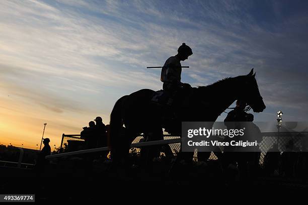 Glen Boss riding Kermadec walks off the track after the Cox Plate Breakfast With The Stars gallops at Moonee Valley Racecourse on October 20, 2015 in...