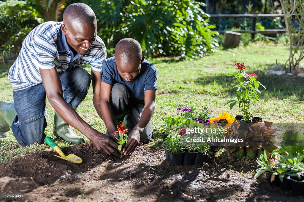 アフリカの父と息子と一緒に植物の花