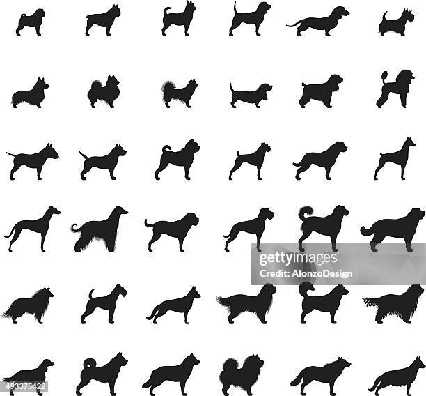 illustrazioni stock, clip art, cartoni animati e icone di tendenza di icona set di cani - pastore tedesco