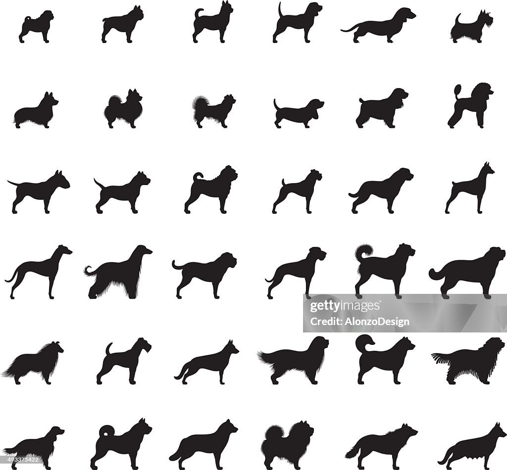 Dogs Icon Set