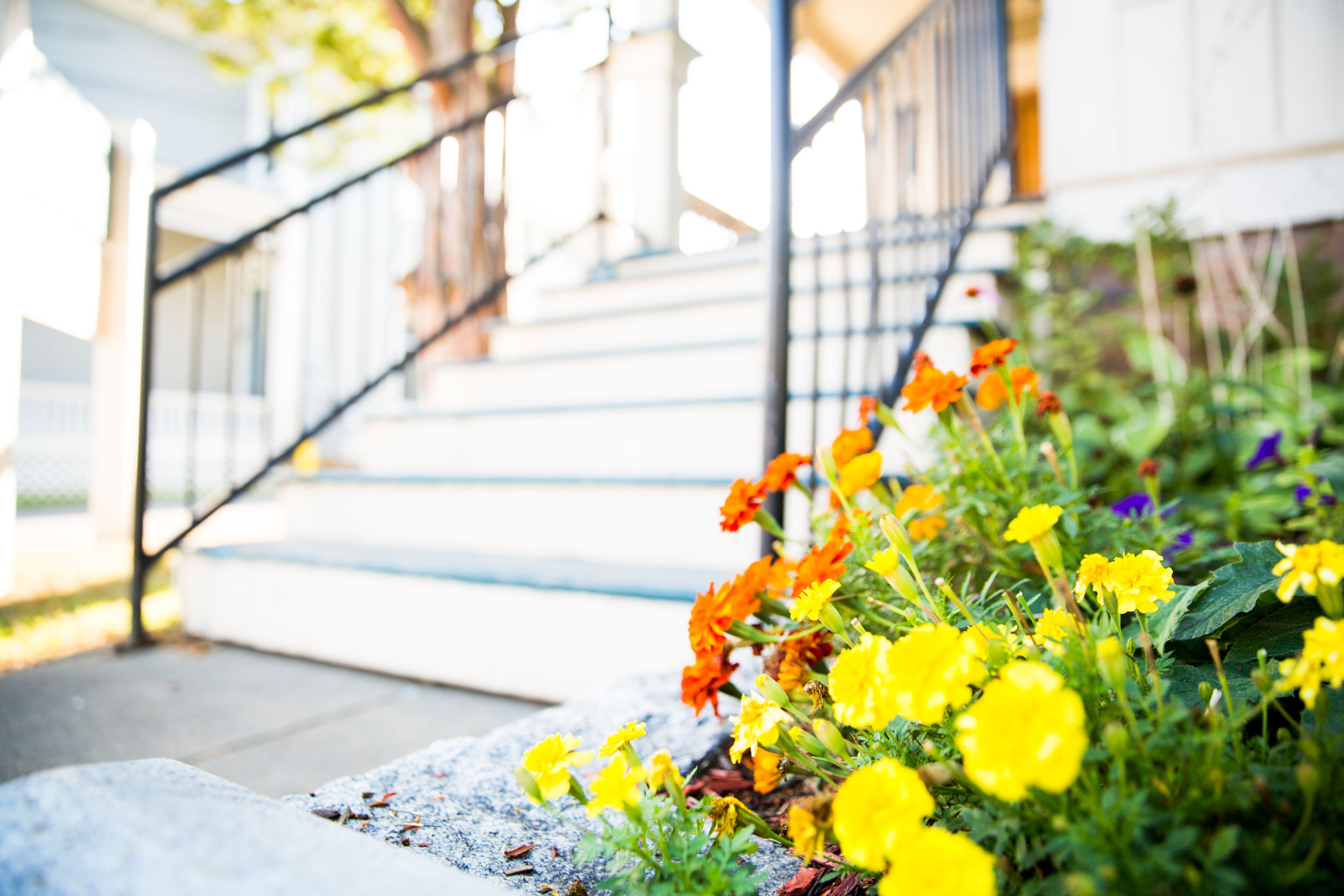 spring home renovation