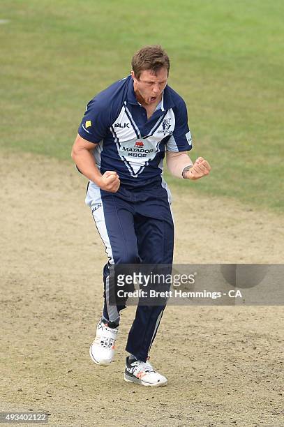 James Pattinson of Victoria celebrates after taking the wicket of Ben Dunk of Tasmania during the Matador BBQs One Day Cup match between Tasmania and...